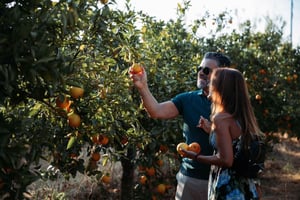 Algarve: Excursión Silves, Naranjal y Sierra de Monchique