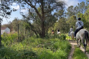 Algarve: passeggiata al tramonto ad Aljezur