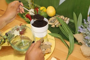 Algarve: Terrarium-Workshop mit Snacks