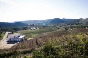 Visite des vignobles de l'Algarve et excursion en montagne avec déjeuner ou dîner