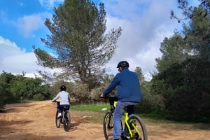 Passeio de bicicleta eléctrica em Benagil