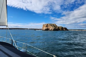 Cascais/Portimão: crucero privado en yate con bebidas