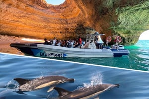 Combo: Benagil & Dolphins Boat Tour w/ Marine Biologists