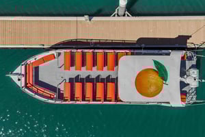 НАБЛЮДЕНИЕ ЗА ДЕЛЬФИНАМИ И ЭКСКУРСИЯ В ПЕЩЕРУ БЕНАГИЛ ИЗ ЛАГОСА — ДВОЙНОЙ ТУР