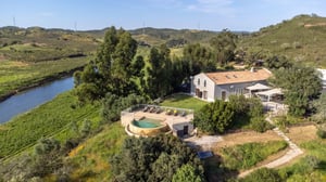 Figs on the Funcho Cooking Holidays 