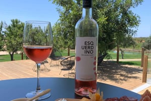 Au départ d'Albufeira : safari 4x4 hors route et dégustation de vin dans un vignoble