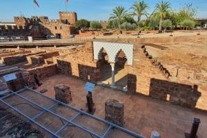 Da Albufeira: Escursione al Castello di Silves e Monchique
