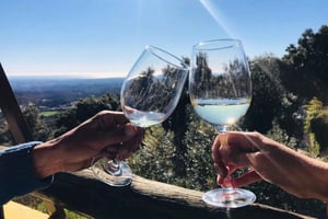 From Albufeira: Full-Day Wine Tasting Tour with a Guide