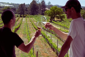 Da Albufeira: Tour di un giorno intero di degustazione di vini con una guida