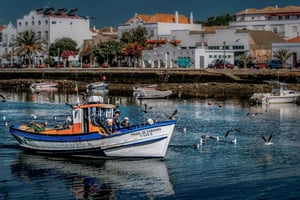 Depuis Albufeira : excursion guidée d'une journée à Loulé, Faro et Tavira