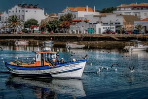 Da Albufeira: escursione guidata di un giorno a Loulé, Faro e Tavira