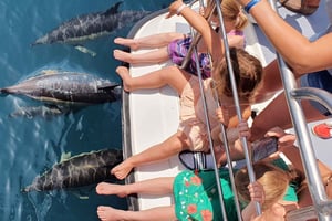 Lagosista: Delfiinien katselu katamaraaniristeilyllä