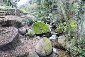 Da Lagos: Escursione guidata privata a Monchique + degustazione di Medronho