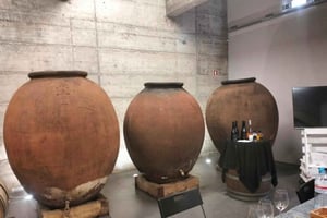 Da Lagos: tour privato delle cantine dell'Algarve con degustazioni