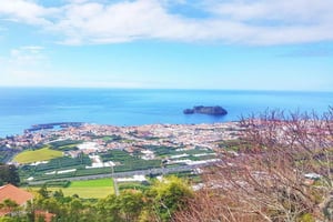 Tour panoramico di un giorno intero Nordeste e Povoação e cascate