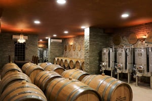 Lagoa: tour guidato della cantina e degustazione di vini locali