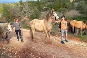 Lagos: Een wandeling met een gered paard in het opvangcentrum