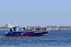 Lagos : Visite des dauphins et de Benagil avec un biologiste marin