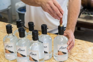 Lagos: tour guidato della distilleria di gin con degustazione presso Alma Luz