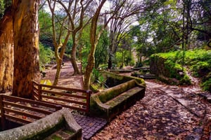 Monchique and Fóia: Half Day Tour