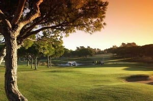 Поля для гольфа Pinhal