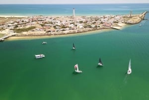 Olhão: 4-stündige Tour zu den Ria Formosa Inseln