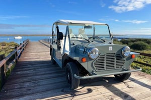 オルhão：ミニモークまたはメハリの電気自動車レンタル