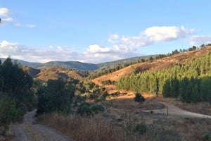 Pedal through Silence: Gravel Route from Portimão to Monchique