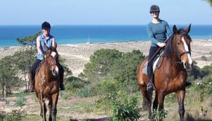 PineTrees Riding Centre