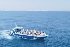 Portimão: 3 uur — Dolfijnen spotten — Bioloog aan boord