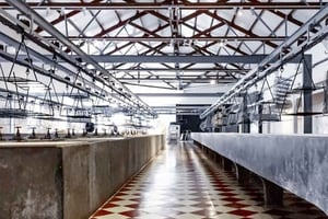 Portimãon kalastusperinteet ja maistiaiset – yksityinen kävelykierros