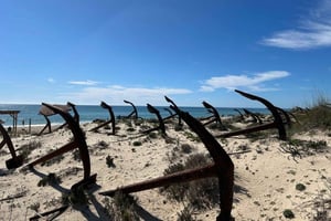 Besøg Tavira og Olhao på cykel