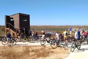 Ria Formosa: Tour guiado de bicicleta (3h), Início na Quinta do Lago
