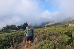 Serra de Monchique: giro in jeep con picnic incluso