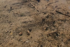 Serra de Monchique: maastoajelu, johon sisältyy piknik