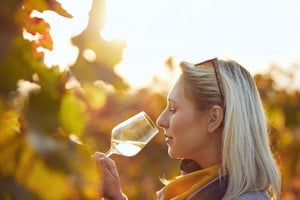 シルベス：アルガルビア ワイナリー ツアーとテイスティング体験