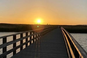 Sunset Coast Tour z szampanem i kolacją