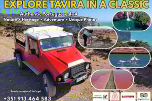 Тавира: приключение на джипе 4x4, розовые соляные равнины и скрытая природа