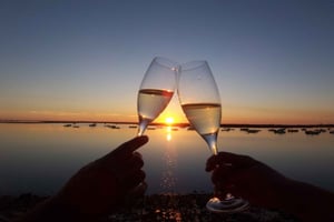 Ria Formosas farver: Bådtur ved solnedgang i Faro