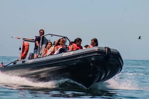 Vilamoura: tour privato della grotta di Benagil con sosta per nuotare