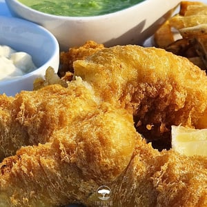 Vis & Friet op Vrijdag bij Tribulum