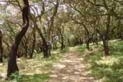 Природный маршрут Виа Алгарвиана