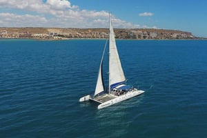 Alicante: Crociera in catamarano di 2 ore nel tardo pomeriggio