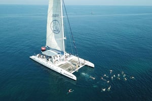 Alicante: crociera in catamarano di 6 ore all'isola di Tabarca