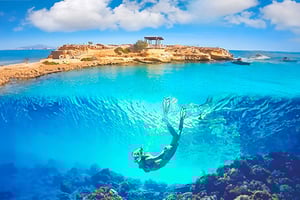 Alicante : E-pyöräretki rannikolle, roomalainen kalanviljelylaitos ja snorklaus