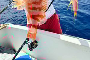 Alicante: vis- en boottocht met drankjes