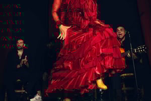 Alicante: Traditional Flamenco Show at Marbeuf Palace