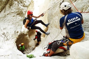 Upptäcka Alicantes vårnöjen