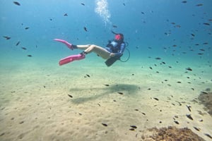 Alicante: tour de mergulho guiado para mergulhadores certificados