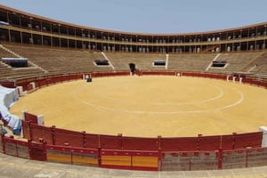 Alicante, guidad tur på Plaza de Toros Alicante, flamencoshow, tapa och dryck